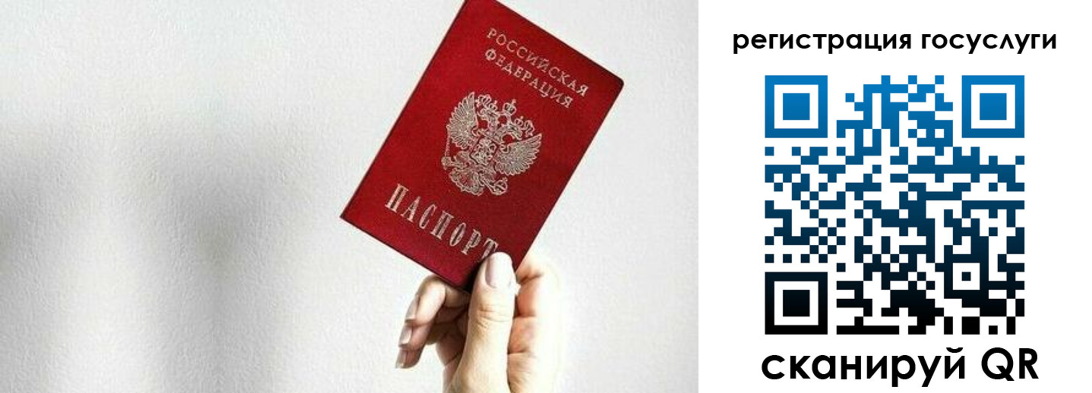 временная регистрация гарантия в Ивантеевке